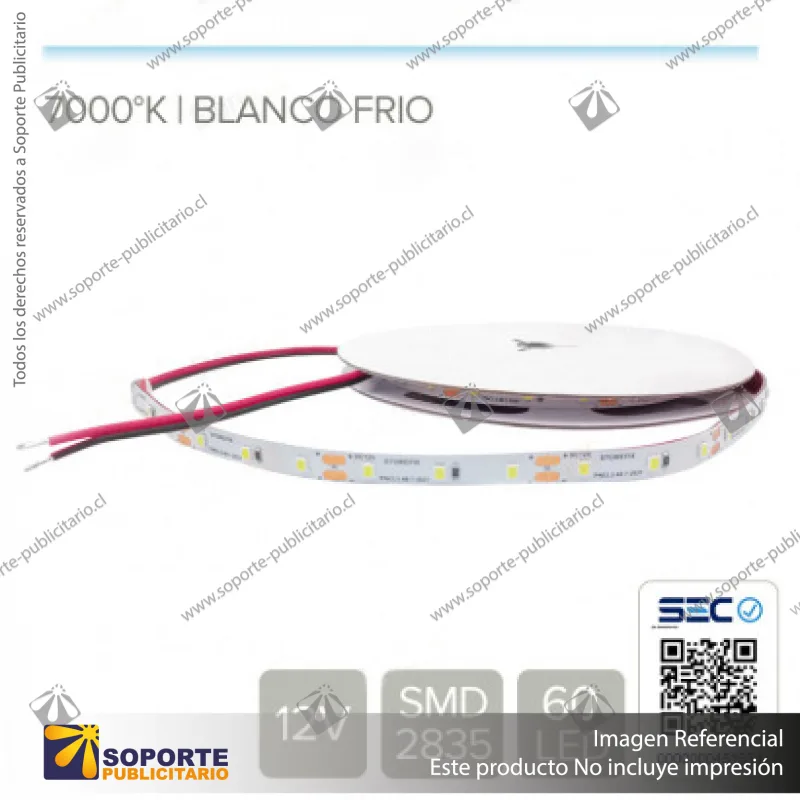 CINTA LED 4.8W 12V 60L FRIO (ROLLO 5 MTS)